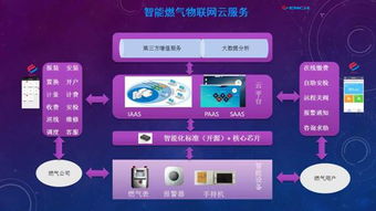 黑龍江省國(guó)家密碼管理局 筑牢網(wǎng)絡(luò)安全防線，引領(lǐng)信息安全軟件開(kāi)發(fā)新篇章